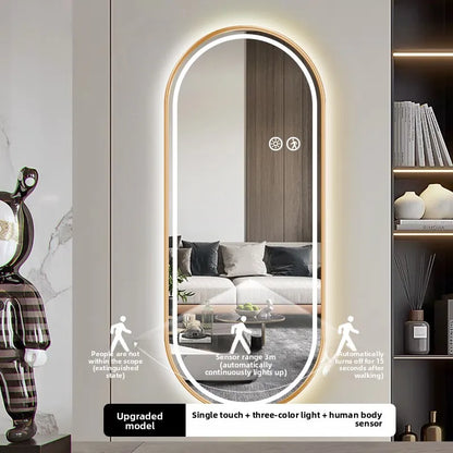 11 47 Inch Full Body Mirror Smart Led