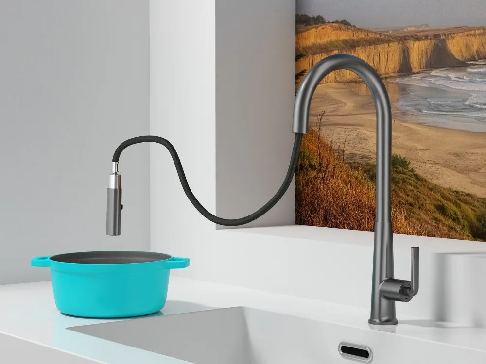 Brushed Gold Faucet Pull Out Sprayer Cold Water