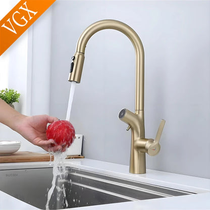 Vgx Gold Water Filter Faucet Dual Spout Pure