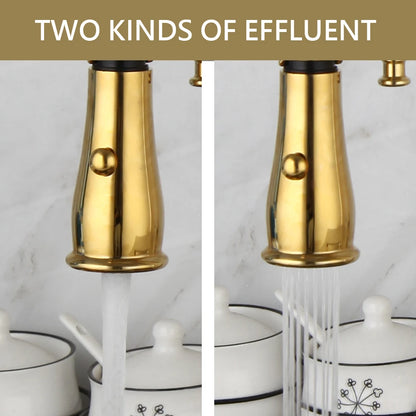 Zappo Gold Chrome Sink Faucet High Arc 360