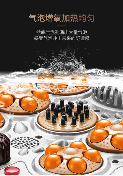 Smoked Foot Bath Full Automatic Electric Heating Washbasin