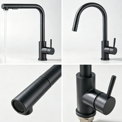 Black Flexible Pull Out Sink Faucet Stainless Steel