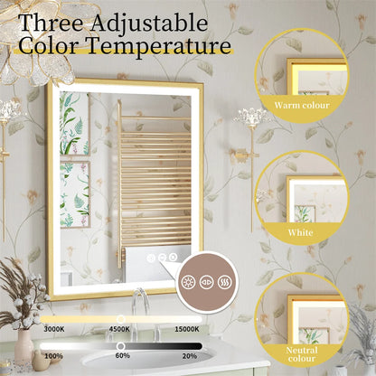 Luvodi Illuminated Bathroom Mirror Gold Frame Wall Mounted