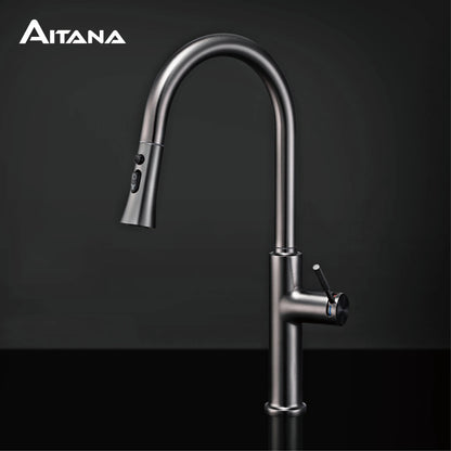 Aitana Pull Out Design Gun Grey Faucet Simple