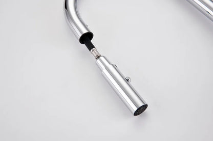 Brushed Gold Faucet Pull Out Sprayer Cold Water