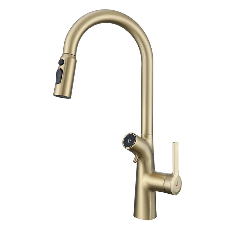 Vgx Water Filter Faucet Dual Spout Pure Drinking