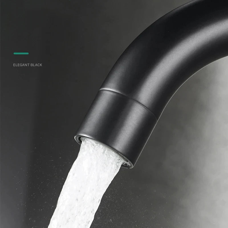 Black Nickel Bathroom Basin Faucet 304 Stainless Steel