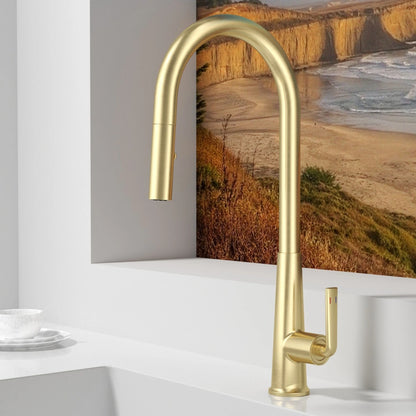 Brushed Gold Faucet Pull Out Sprayer Cold Water
