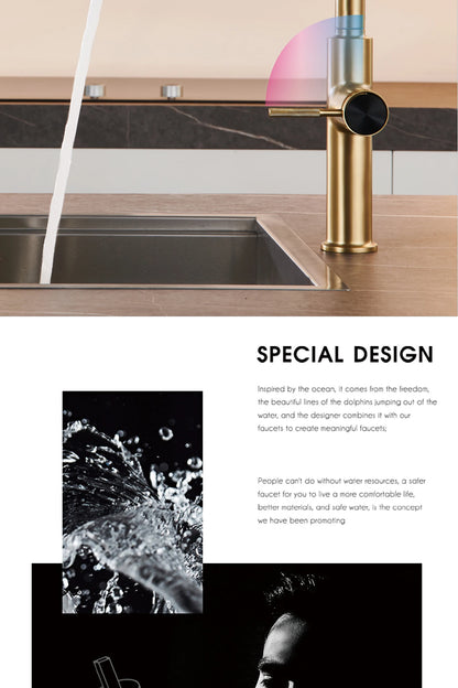 Aitana Pull Out Design Gun Grey Faucet Simple