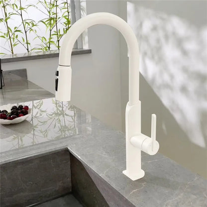 Brushed Gold Pull Out Faucet Sus304 Sink Faucet