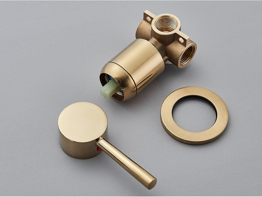 Brushed Gold Handheld Shower Bathroom Shower Faucet &