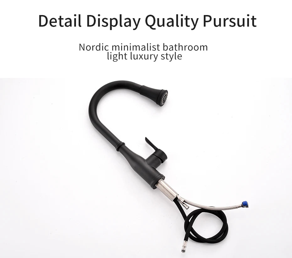 Brushed Nickel Faucets Handle Pull Out Tap Hole