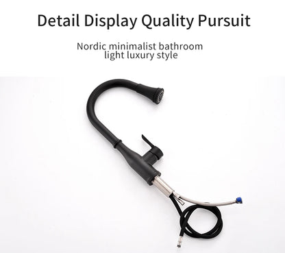 Brushed Nickel Faucets Handle Pull Out Tap Hole