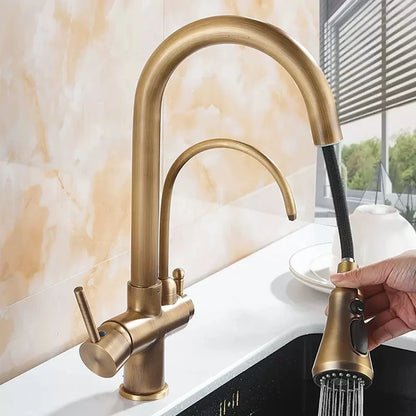 Antique Bronze Faucet Pull Out Water Purifier Sink