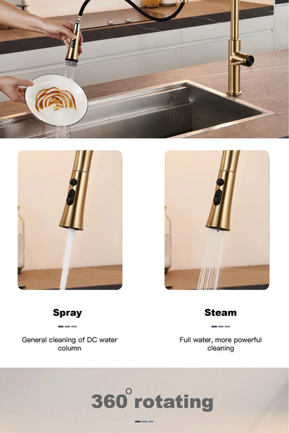 Aitana Pull Out Design Gun Grey Faucet Simple