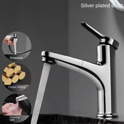 Cold Water Faucet Brass Valve Body Pull-Out Basin