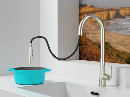 Brushed Gold Faucet Pull Out Sprayer Cold Water
