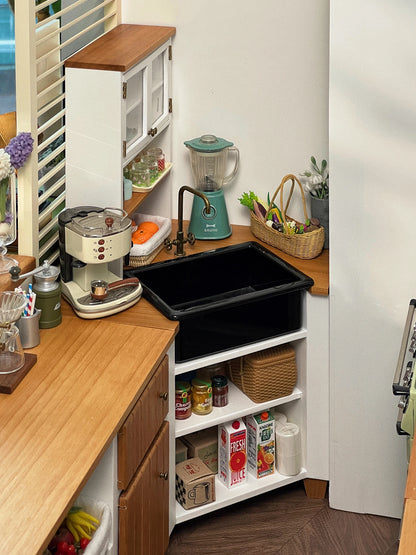 Solid Wood Metal Corner Sink Cabinet Door Cabinet