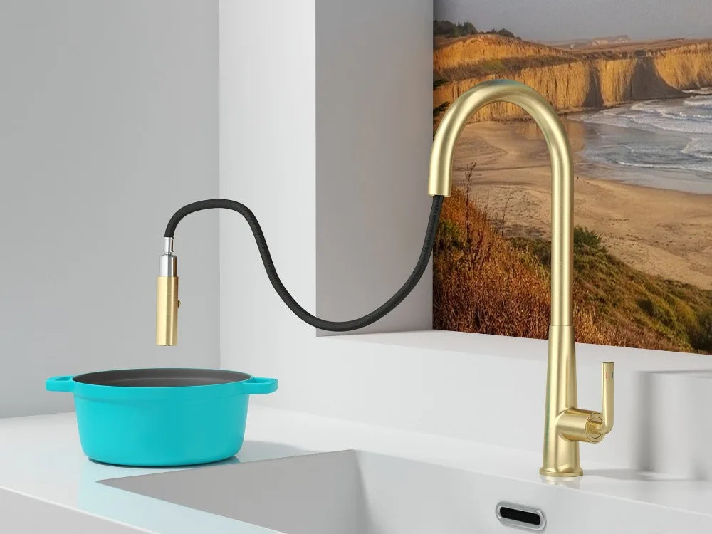 Brushed Gold Faucet Pull Out Sprayer Cold Water