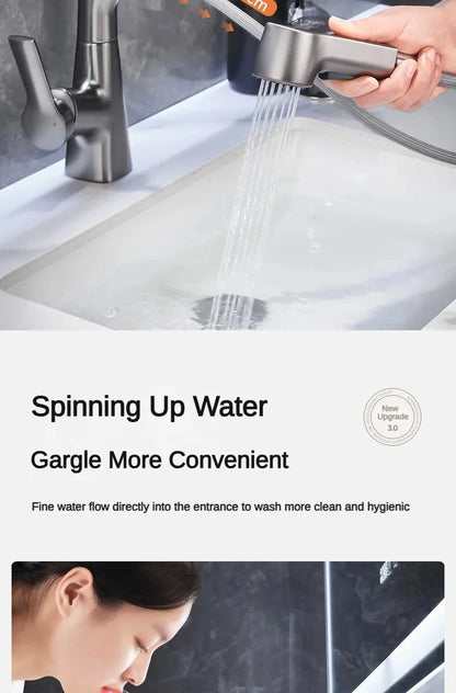 Pull Out Lift Faucet 360 Rotatable Bathroom Basin