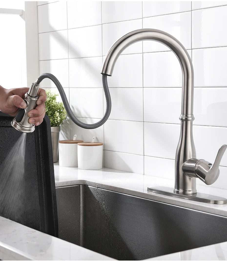 Brushed Nickel Faucets Handle Pull Out Tap Hole