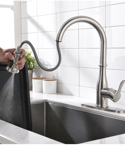 Brushed Nickel Faucets Handle Pull Out Tap Hole