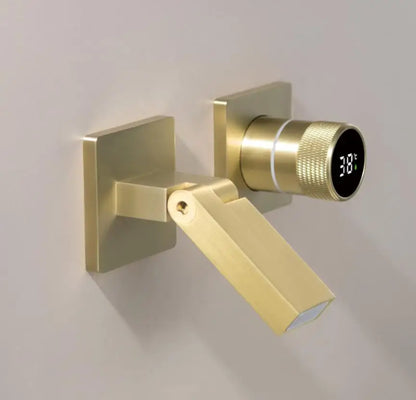 Gunmetal Gray Wall Mount Faucet Cold Washbasin Basin