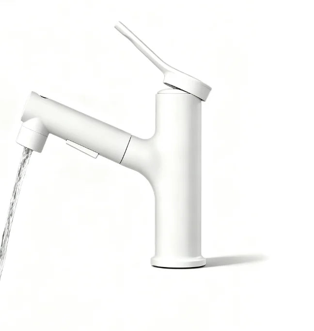 Homefish Color Mode Pull Out Wash Basin Tap