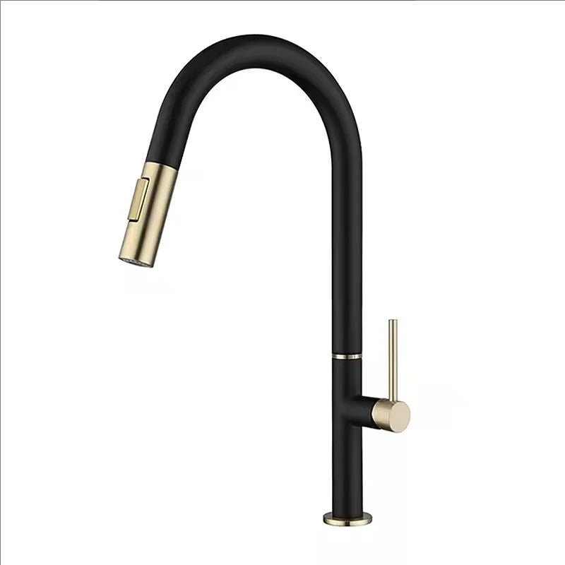 Oxg 304 Stainless Steel Lead-Free Faucet Pull-Out Sprayer