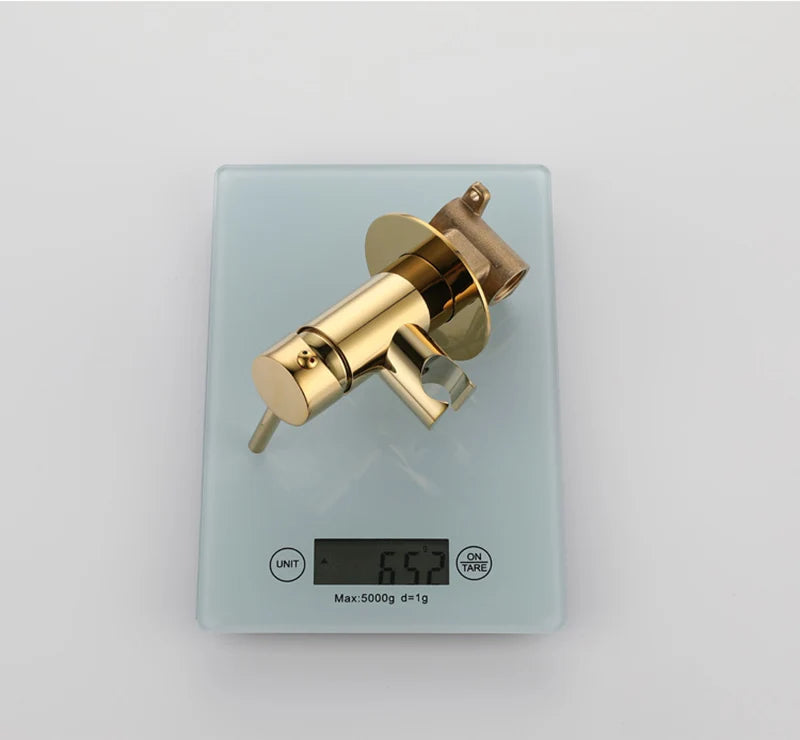 Wall Mounted Bidet Sprayer Faucet Bathroom Cold Water