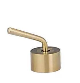 Ceiling Design Bathroom Bubbler & Cold Hang Faucet