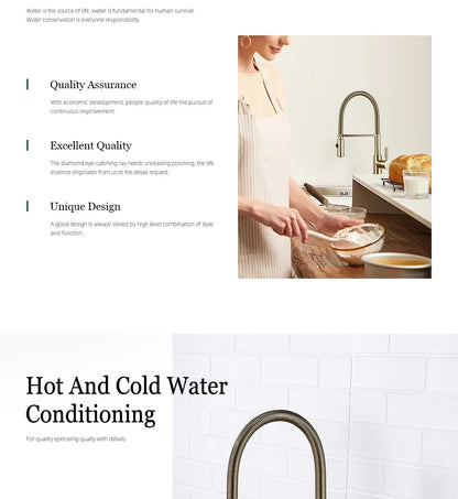 Brushed Gold Faucets Handle Pull Out Mixer Cold