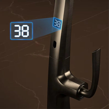 Luxury Gunmetal Brass Faucet Led Display Sensor&Pull-Out