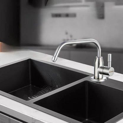 Sink Faucet Direct Drinking Tap Cold Stainless Steel