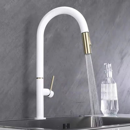 Oxg 304 Stainless Steel Lead-Free Faucet Pull-Out Sprayer