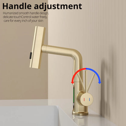 Brushed Gold Basin Faucet Lifting Pull Down Digital