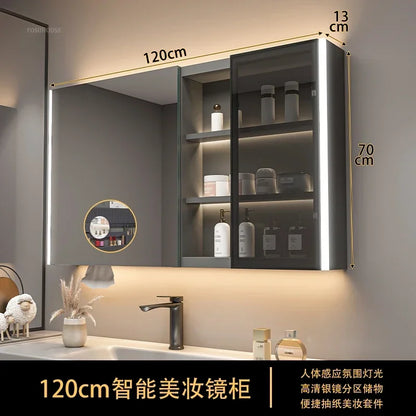 Modern Solid Wood Smart Bathroom Mirror Cabinet Light