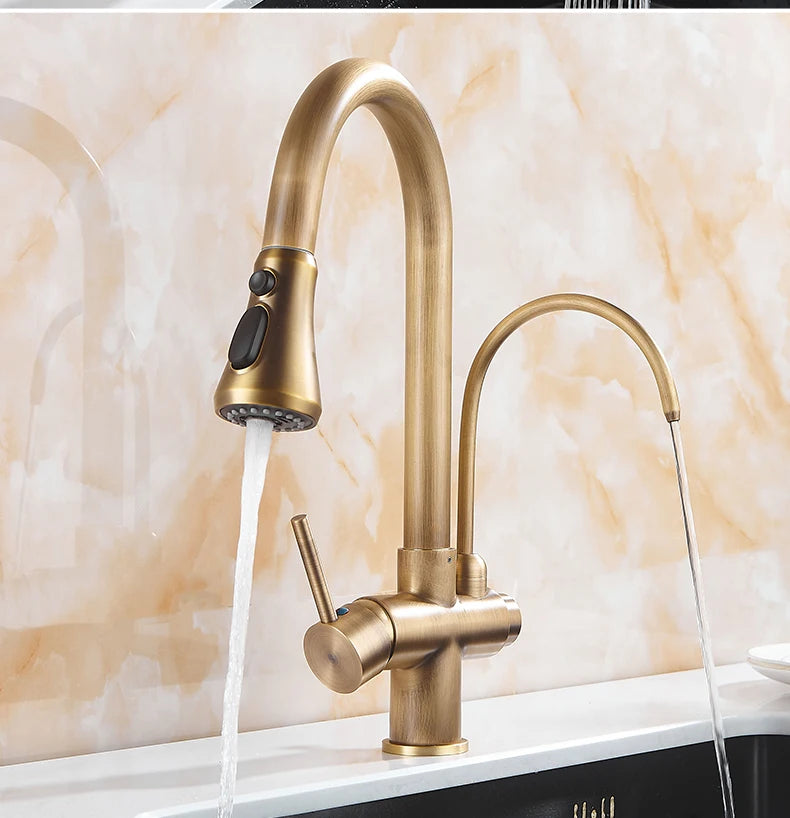 Antique Bronze Faucet Pull Out Water Purifier Sink