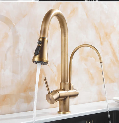 Antique Bronze Faucet Pull Out Water Purifier Sink