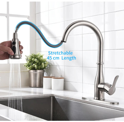 Brushed Nickel Faucets Handle Pull Out Tap Hole
