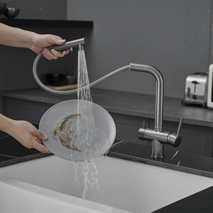 Copper Alloy Way Pull Out Filter Faucet Chrome
