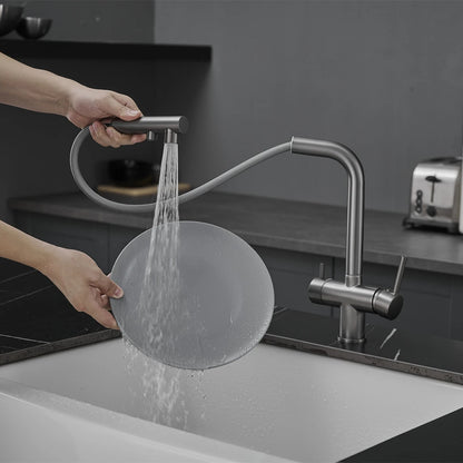 Brushed Nickel Pull Out Filter Faucets Quality Brass