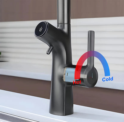 Vgx Gold Water Filter Faucet Dual Spout Pure