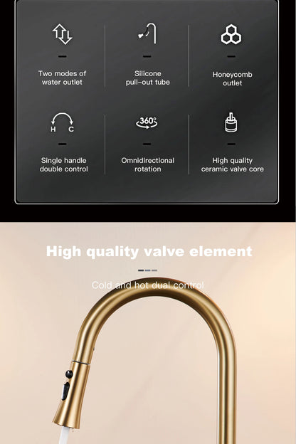 Aitana Pull Out Design Gun Grey Faucet Simple