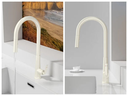 Brushed Gold Faucet Pull Out Sprayer Cold Water