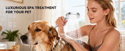 Tandem Shower Head Couples Dual Shower Head Handheld