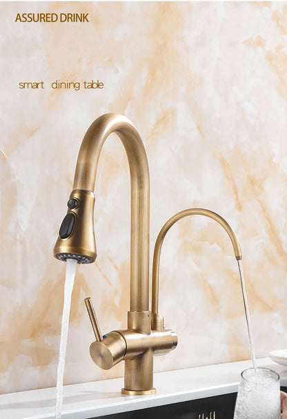 Antique Bronze Faucet Pull Out Water Purifier Sink