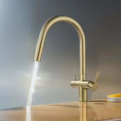 Pull Out Filter Sink Faucets Pull Down Cold