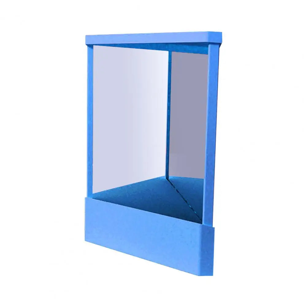 Makeup Mirror Non Reversing Precision True Image Vanity