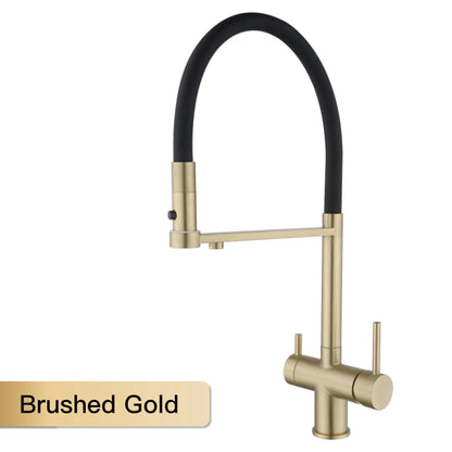 Modern Brushed Gold Brass Faucet Water Filtration Design